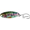LF-NM46052029 - REAL RAINBOW TROUT