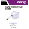 BS-008160 GUADINO PER VIVO PROX PX857